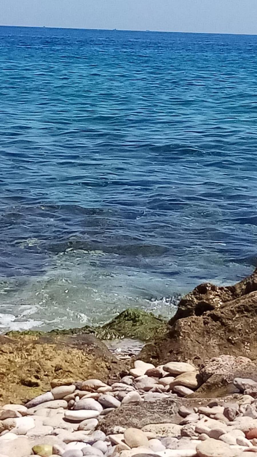 شقة La Trinacria Mare باليرمو المظهر الخارجي الصورة